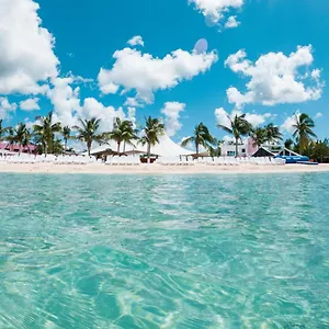 Escoto En Pdc , Playa del Carmen México