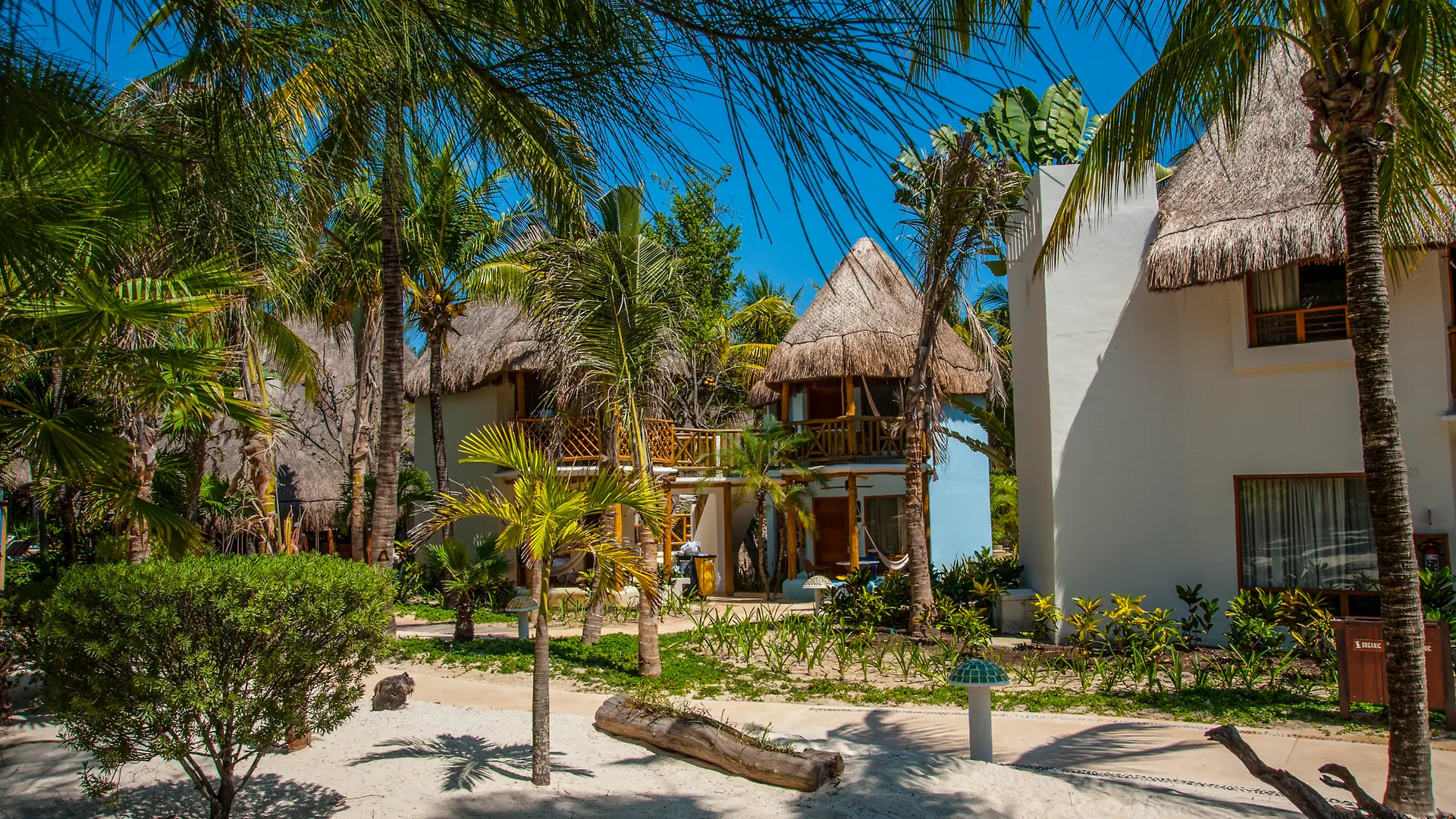 Mahekal Beach Front Resort & Spa Playa del Carmen